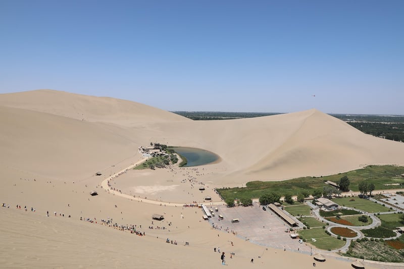 Enchanted Oasis