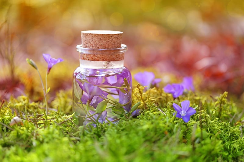 Nature's Potions