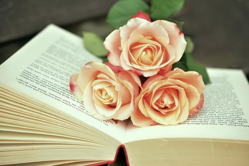 Sorcerer's Books